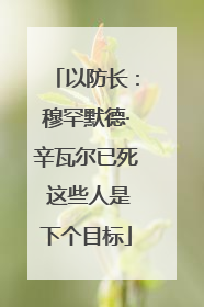 以防长：穆罕默德·辛瓦尔已死 这些人是下个目标