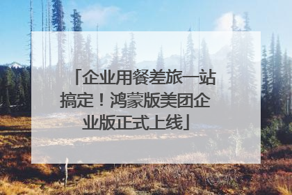 企业用餐差旅一站搞定！鸿蒙版美团企业版正式上线