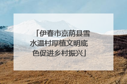 伊春市嘉荫县雪水温村厚植文明底色促进乡村振兴