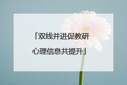 双线并进促教研 心理信息共提升