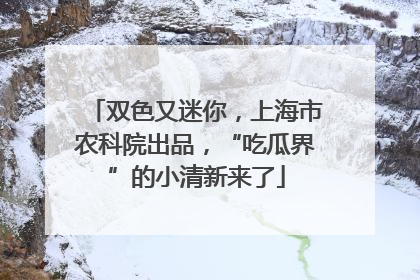 双色又迷你，上海市农科院出品，“吃瓜界”的小清新来了