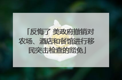 反悔了 美政府撤销对农场、酒店和餐馆进行移民突击检查的豁免