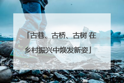 古巷、古桥、古树 在乡村振兴中焕发新姿