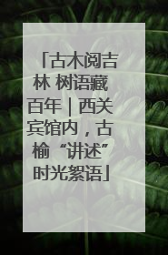 古木阅吉林 树语藏百年｜西关宾馆内，古榆“讲述”时光絮语