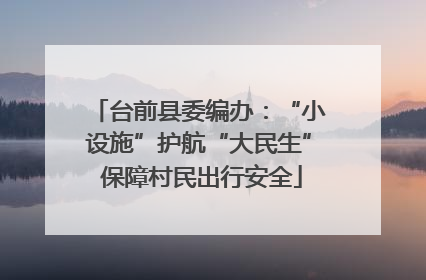 台前县委编办：“小设施”护航“大民生” 保障村民出行安全