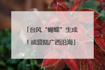台风“蝴蝶”生成！或登陆广西沿海