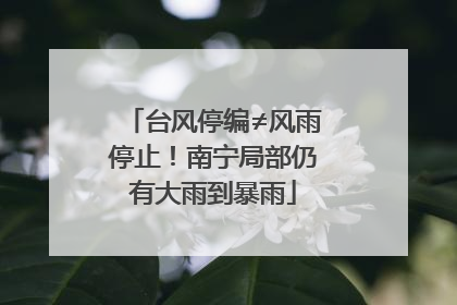 台风停编≠风雨停止！南宁局部仍有大雨到暴雨