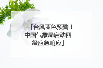 台风蓝色预警！中国气象局启动四级应急响应