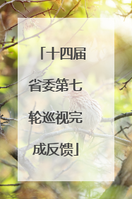 十四届省委第七轮巡视完成反馈