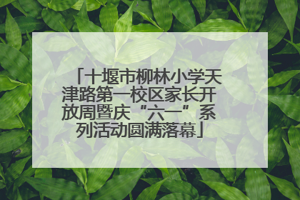 十堰市柳林小学天津路第一校区家长开放周暨庆“六一”系列活动圆满落幕