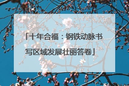 十年合福：钢铁动脉书写区域发展壮丽答卷