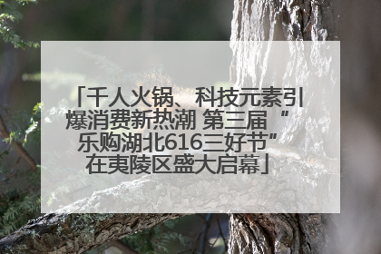 千人火锅、科技元素引爆消费新热潮 第三届“乐购湖北616三好节”在夷陵区盛大启幕
