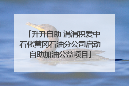 升升自助 涓涓积爱中石化黄冈石油分公司启动自助加油公益项目