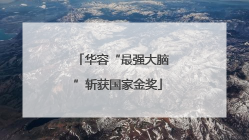 华容“最强大脑”斩获国家金奖
