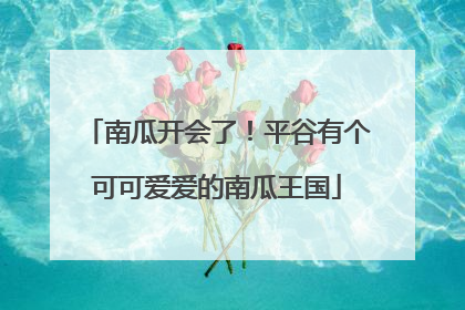南瓜开会了！平谷有个可可爱爱的南瓜王国