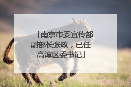 南京市委宣传部副部长张政，已任高淳区委书记