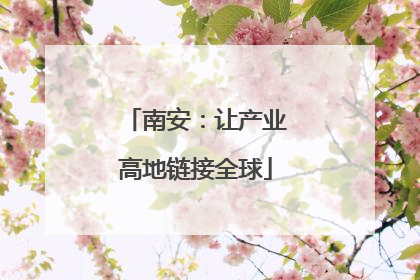 南安：让产业高地链接全球