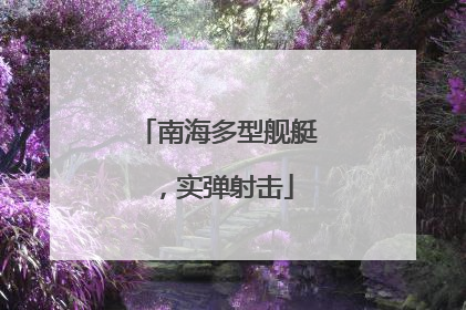 南海多型舰艇，实弹射击