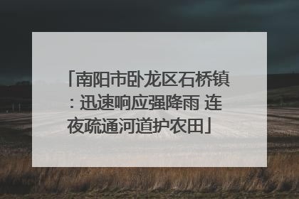 南阳市卧龙区石桥镇：迅速响应强降雨 连夜疏通河道护农田