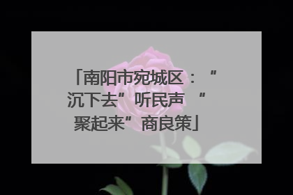 南阳市宛城区：“沉下去”听民声 “聚起来”商良策
