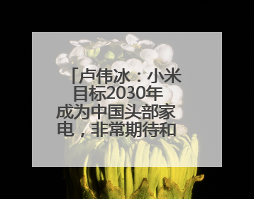 卢伟冰：小米目标2030年成为中国头部家电，非常期待和美的海尔并列