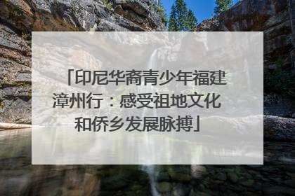 印尼华裔青少年福建漳州行：感受祖地文化和侨乡发展脉搏
