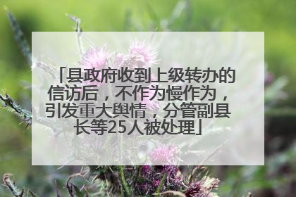 县政府收到上级转办的信访后，不作为慢作为，引发重大舆情，分管副县长等25人被处理