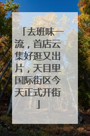 去班味一流，首店云集好逛又出片，天目里国际街区今天正式开街