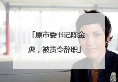 原市委书记陈金虎，被责令辞职