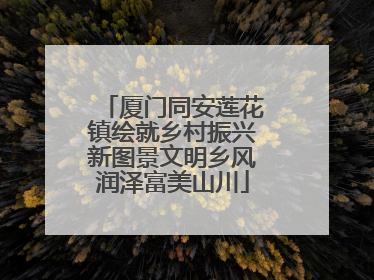 厦门同安莲花镇绘就乡村振兴新图景文明乡风润泽富美山川