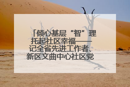 倾心基层“智”理 托起社区幸福——记全省先进工作者、新区文曲中心社区党委书记董世弘
