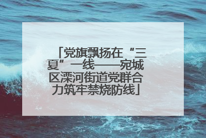 党旗飘扬在“三夏”一线——宛城区溧河街道党群合力筑牢禁烧防线