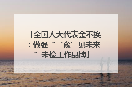 全国人大代表金不换：做强“‘豫’见未来”未检工作品牌