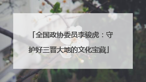 全国政协委员李骏虎：守护好三晋大地的文化宝藏