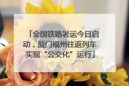 全国铁路暑运今日启动，厦门福州往返列车实现“公交化”运行