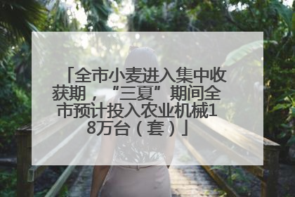全市小麦进入集中收获期，“三夏”期间全市预计投入农业机械18万台（套）