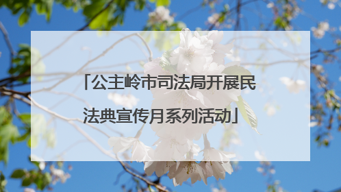 公主岭市司法局开展民法典宣传月系列活动