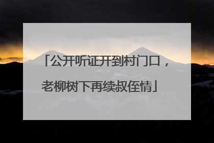 公开听证开到村门口，老柳树下再续叔侄情