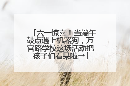 六一惊喜！当端午鼓点遇上机器狗，万官路学校这场活动把孩子们看呆啦→
