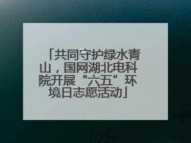 共同守护绿水青山，国网湖北电科院开展“六五”环境日志愿活动