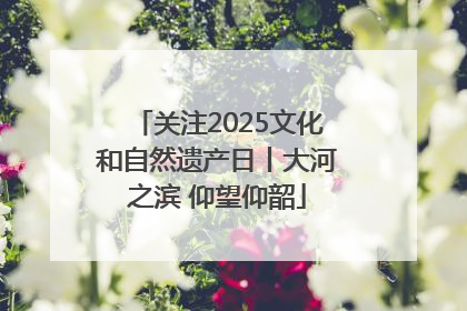 关注2025文化和自然遗产日丨大河之滨 仰望仰韶