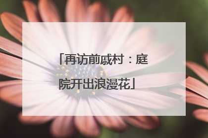 再访前戚村：庭院开出浪漫花