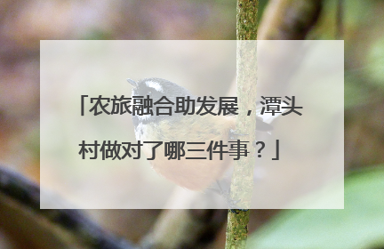 农旅融合助发展，潭头村做对了哪三件事？