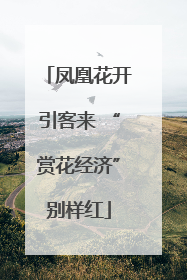凤凰花开引客来 “赏花经济”别样红