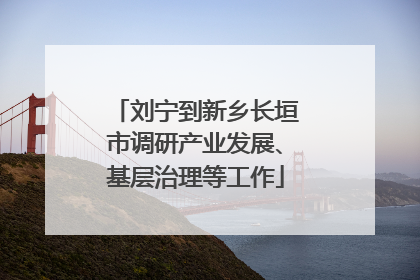 刘宁到新乡长垣市调研产业发展、基层治理等工作