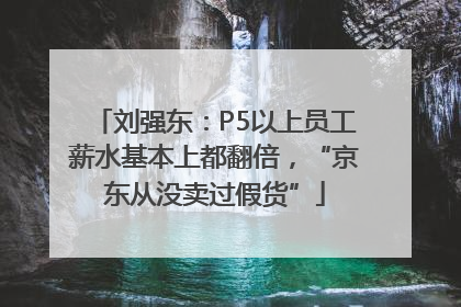 刘强东：P5以上员工薪水基本上都翻倍，“京东从没卖过假货”