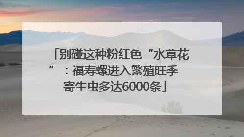 别碰这种粉红色“水草花”：福寿螺进入繁殖旺季 寄生虫多达6000条