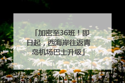 加密至36班！即日起，西海岸往返青岛机场巴士升级