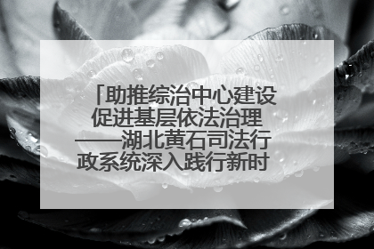 助推综治中心建设 促进基层依法治理——湖北黄石司法行政系统深入践行新时代枫桥经验