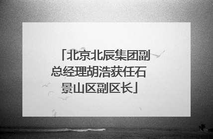 北京北辰集团副总经理胡浩获任石景山区副区长